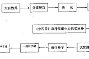 固体发酵基