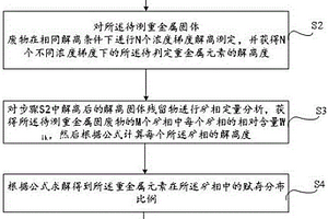 工业固体废物中重金属赋存关键矿相的分析判定方法