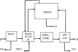 采用复合固体催化剂生产生物柴油的方法