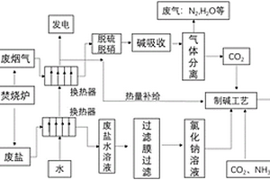 含有机物的高盐固体废弃物的处理方法