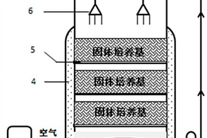 回流式固体发酵生产γ-聚谷氨酸的发酵方法及装置