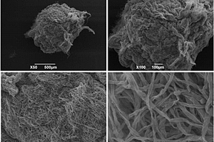 以植物生物质为培养基质制备解磷菌PA02固体菌剂的方法