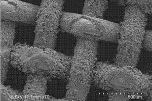 新型碳基结构整体固体酸催化剂及其制备和在制备生物柴油中的应用