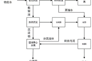 新型高盐高有机废水处理装置