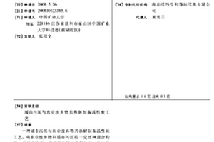城市污泥与农业废弃物共热解制备活性炭工艺