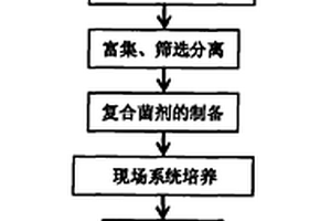 高温好氧发酵细菌、及其在生活垃圾及污泥等固体废弃物减量化、资源化上的应用