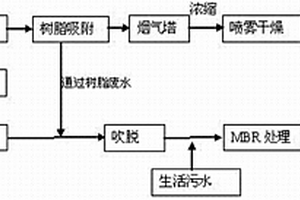 DSD酸生产废水处理工艺