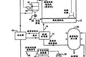 用于将废物转化为复合烃的方法和系统