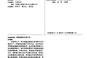 炼镁废渣的处理方法