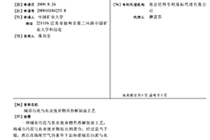 城市污泥与农业废弃物共热解制油工艺