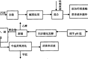 利用造纸污泥与味精废液混合发酵产乙醇和甲烷的方法