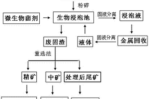从冶金及矿山废固物中生物提取金属的方法
