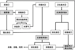 用于空间站废水处理的多膜耦合工艺及装置
