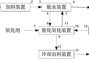 脱除工业固体废盐TOC的装置
