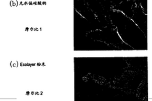 将含有石棉的固体废弃物无害化的方法
