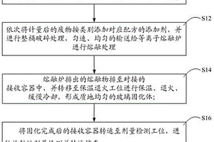等离子低中放固体废物处理方法