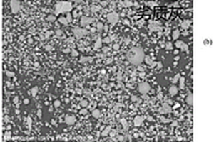 鉴别真粉煤灰与固体废弃物冒充的假粉煤灰的方法
