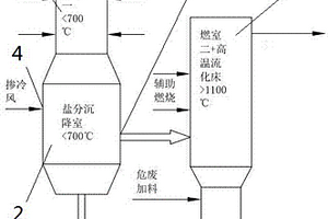 联合处理高含盐有机废液及危险固废的装置