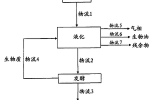 由固体城市废物生产生物油的方法