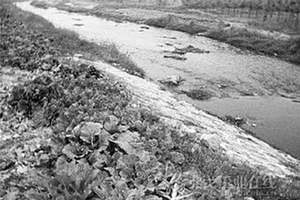 农村固体废弃物污染土壤的生态修复方法