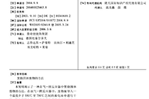 焚烧固体废物的方法