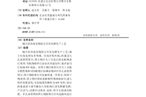 城市固体废弃物联合厌氧发酵生产工艺