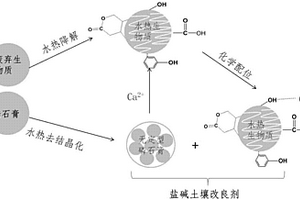 固体废弃物制备盐碱土壤改良剂的新工艺
