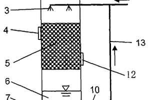 酸性固废化学洗涤除臭塔