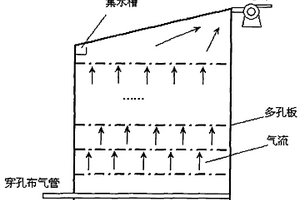 城镇污水污泥的生物干燥方法