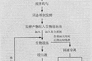 两步转化法生产生物钾肥的方法及产品