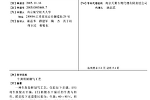 牛粪裂解制气工艺