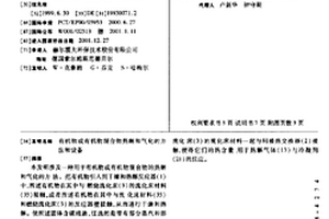 有机物或有机物混合物热解和气化的方法和设备