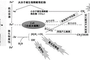 提高剩余活性污泥厌氧消化性能的方法