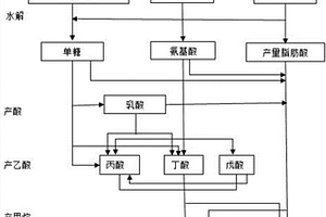 应用乳酸修正的ADM1模型分析餐厨垃圾产甲烷的方法
