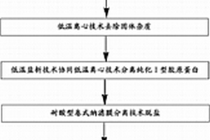 水产副产品源Ⅰ型胶原抗氧化肽的制备工艺