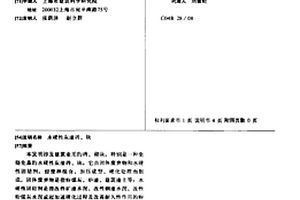 水硬性灰渣砖、块