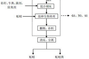 利用蚯蚓处置污泥的方法