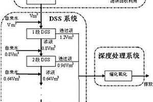 染料盐析废水的处理方法及处理系统