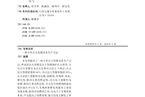 方形点火型煤及其生产方法