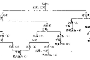 从荞麦中连续提取荞麦淀粉、荞麦蛋白、黄酮、膳食纤维的工艺