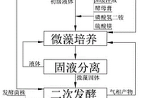 畜禽粪污微藻养殖同步产乙醇的方法
