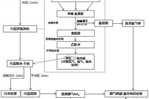 污泥厌氧消化和焚烧耦合系统的氮中和工艺