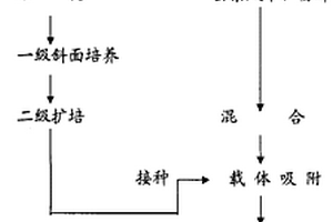 泥炭生物复合菌肥及其生产工艺