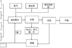 氧气氧化法制备N-环己基-2-苯并噻唑次磺酰胺的工艺