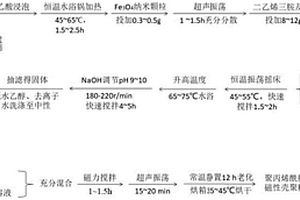 聚丙烯酰胺负载的磁性壳聚糖吸附剂的制备方法及应用