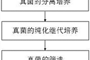 促进木薯渣基质发酵进程的真菌分离方法