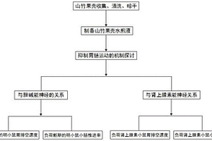 山竹果壳抑制肠胃运动的水煎液制备工艺及其测试方法