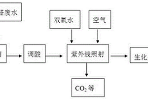 丙烯醛废水的处理方法及处理装置