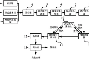 高盐废水的处理系统