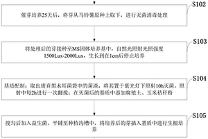 废弃物作基质生产马铃薯原种的方法